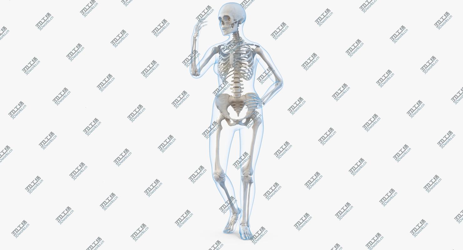 images/goods_img/202104022/Female Body with Skeleton Rigged 3D/2.jpg